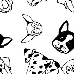 Fototapeta na wymiar Seamless pattern with Dog breeds. Bulldog, Husky, Alaskan Malamute, Retriever, Doberman, Poodle, Pug, Shar Pei, Dalmatian