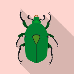 Vector illustration of insect and fly logo. Set of insect and element vector icon for stock.