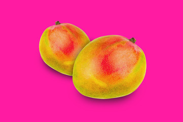 Pair of whole ripe mango in center on pink background