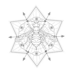 Vector illustration with hand drawn wasp and Sacred symbol on white background. Abstract mystic sign. Black linear shape. For you design, tattoo or magic craft.