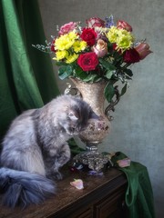 Still life with luxurious bouquet of flowers and curious kitty
