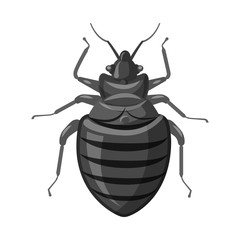 Vector illustration of insect and fly icon. Collection of insect and element vector icon for stock.