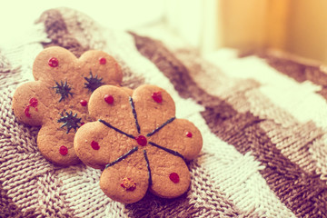 Gingerbread cookie on a sweater. Tasty flour product. Food