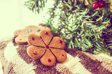 Gingerbread cookie on a sweater. Tasty flour product. Food