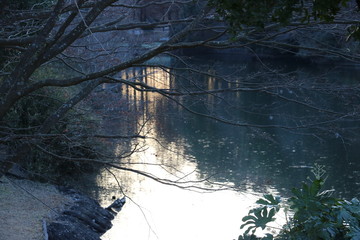 冬の公園の池に落ちる影