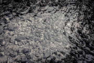 stone under river with reflection, in black and white tone