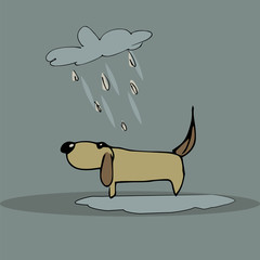 sad dog in the rain. hand-drawn vector illustration