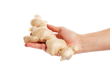 Ginger root in hand isolated on white background