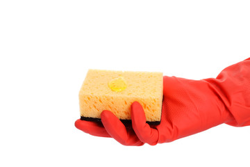 Gloved hand holding a sponge isolated on white background. Cleanliness and tidiness