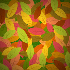 Background with autumn leaves