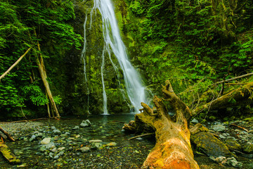 Madison Creek Falls, Olympic National Park, Washington, United States