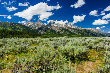 Windy Point Turnout, Grand Teton National Park, Wyoming, United States