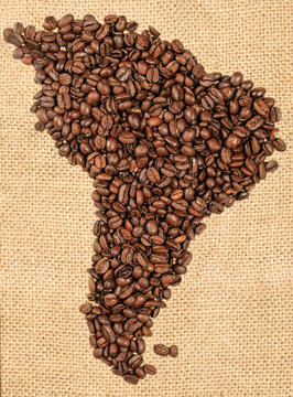 Whole bean coffee. The contour of the mainland of South America is made of coffee beans on jute burlap.