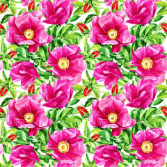 Floral seamless pattern with wild rose painted in watercolor.