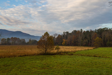 Cades Cove, Great Smoky Mountains National Park, Tennessee, United States