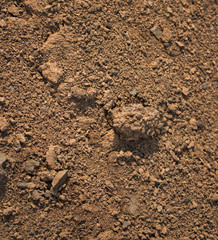Clay soil. Clay earth. Clay background. Red earth. Clay texture.