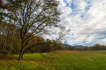 Cades Cove, Great Smoky Mountains National Park, Tennessee, United States