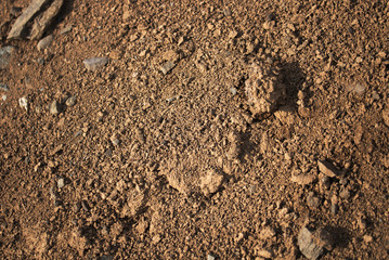 Clay soil. Clay earth. Clay background. Red earth. Clay texture.