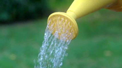 Pouring water from yellow watering can in front of nice green foliage. 120 fps slow-motion 4K.