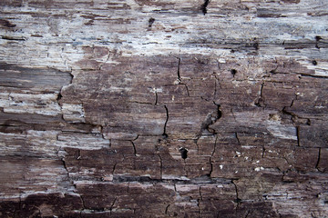 Dark texture of old wooden wall