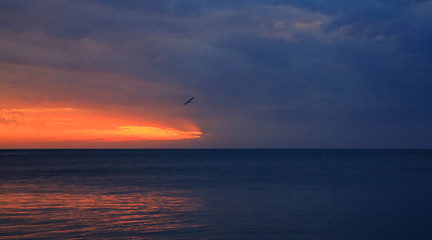 Incredible beautiful sunset. The sun goes into the sea and colors the sky in a bright orange color.