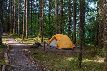 Bartlett Cove Campground, Glacier Bay National Park, Alaska, United States