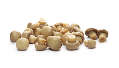 Champignon mushrooms isolated on white background