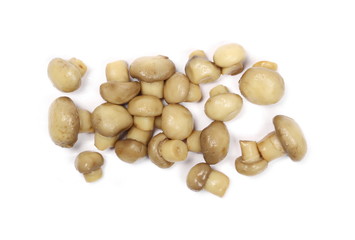 Champignon mushrooms isolated on white background, top view