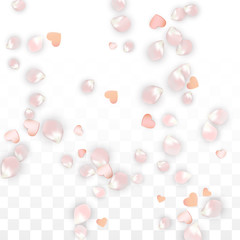 Vector Realistic Petals and Hearts Confetti. Flying Sakura and Hearts on Transparent Background. Wedding Invitation Background. Spring Romance Poster. Vector Illustration for Anniversary Design.