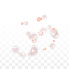 Vector Realistic Petals and Hearts Confetti. Flying Sakura and Hearts on Transparent Background. Wedding Invitation Background. Spring Romance Poster. Vector Illustration for Anniversary Design.