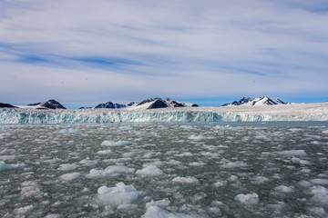 Glacier in Arctica