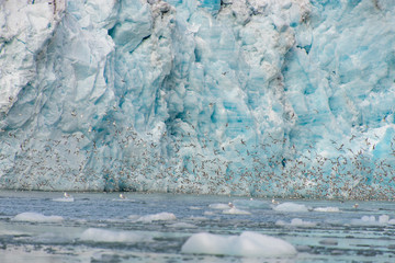 Glacier close up