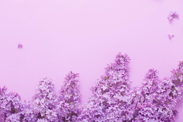 Obraz premium beautiful lilak on paper background