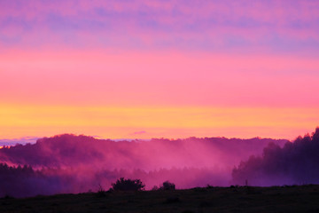 Beautiful sunset light and fog in the agricultural area of the Rio Grande Do Sul state, southern Brazil