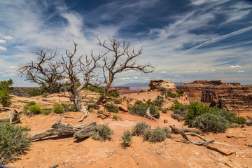 Shafer Canyon Viewpoint, Canyonlands National Park, Utah, United States