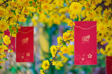 Fototapeta na wymiar Red envelopes Lunar New Year. High-quality stock images of red envelopes Lunar New Year draw ochna integerrima flower on red pocket. Tet Holiday concept whith ochna integerrima flower background
