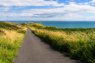 Beautiful empty asphalt road towards the sea, bordered by yellow and green tall grass on a windy summer day. Scenic route on the Howth Peninsula, Ireland, with the Baily Lighthouse in the distance.