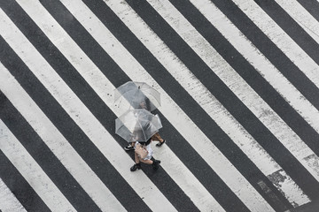 Tokyo Crosswalk Scene on the Rainy Day from above