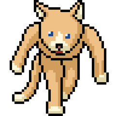 Fototapeta premium vector pixel art cat monster