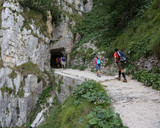 family walks on a path in the Alps