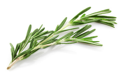 Rosemary