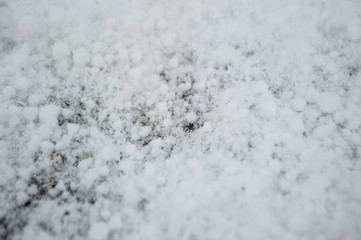 Beautiful white snow background with detailed snowflakes.