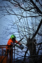 Obraz premium An Image of a worker