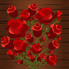 Vector spring background. Spring time.Falling petals. Colorful spring background with beautiful flowers. Vector illustration