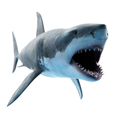 Fototapeta premium 3d rendered illustration of a great white shark