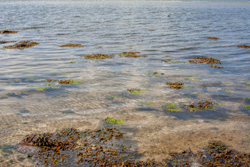Laboe