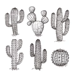 Foto op Canvas Sketch cactus. Hand drawn desert cactuses. Vintage engraving western mexican plants vector set. Desert cactus collection, engraving tropical cacti illustration © MicroOne