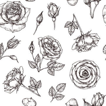 Roses seamless pattern. Hand drawn rose floral textere. Flower fabric repeat vector vintage background. Rose with petal sketch illustration