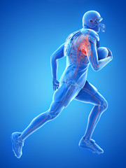 3d rendered medically accurate illustration of the heart of an american football player