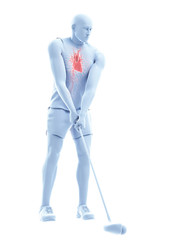 3d rendered medically accurate illustration of the heart of a golf player
